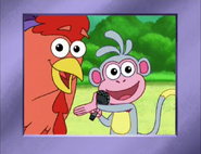"The Big Red Chicken is here!"