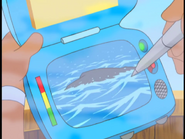 swims in
