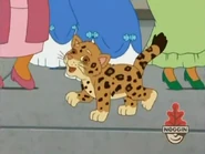 YAY! (Baby Jaguar is getting down on it!)