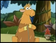 Look! Even that zipper proves that it's not a camel and just a disguise.