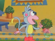 "Hello, Señora Márquez! It's my birthday!"