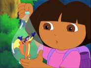 Swiper doesn't like being in a bottle.