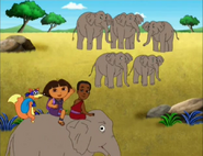 Five elephants!