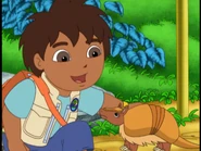 Diego has an idea! "That's okay, Armadillo."