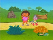 ¡¿BABY BIRD, PAJARITO?! WHERE ARE YOU?! ¡¿DONDE ESTAS?!