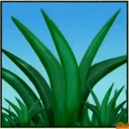 Linda The Llama Saves Carnival Right Answer 4