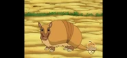 "I'm a three-banded armadillo!" said Armadillo. "OH, OH, OH! And check THIS out!"