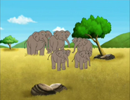 How many elephants are there? Five!