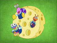 Oh! The Fiesta Trio!