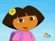 We crossed Snake River and saw LOTS of snakes!