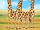 Giraffes