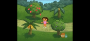 "Boots is hiding in the tree with fruit that are the same color as his boots. Where is Boots hiding?"