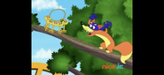 "Swiper,