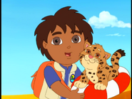 "Baby Jaguar is