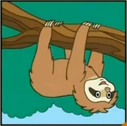 Diego Saves The Mommy And Baby Sloth Right Answer 2