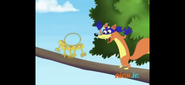 Swiper-