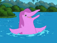 River Dolphin says he's glad to help.