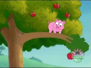 (Oinky, oinky, oinky!)