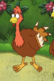 Wild Turkey