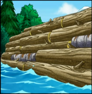 A dam, what Diego built to help the beaver