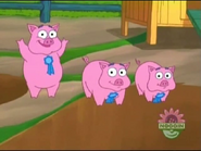 Oink!