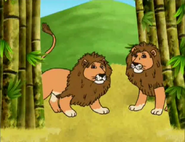 What animals are those?