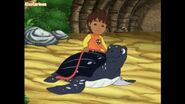 He wraps it around Tuga's shell.