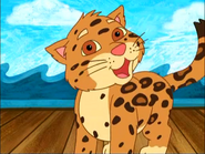 Meow, meow, meow!