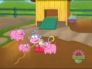 "Hey, piggies!"
