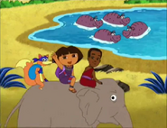 Four hippos!