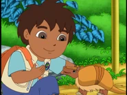 "Really, Diego?!"