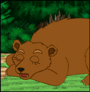 Can grizzly bears sleep?