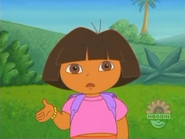 Help them look for Swiper.