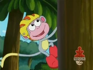 "Monkeys are good at climbing!"