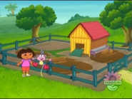 Boots wonders where the piggies are.