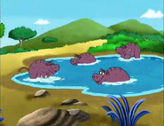 What animals are those?