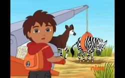 Where Is Okapi�s Brother?/Gallery | Dora The Explorer Wiki | Fandom Where Is Okapi�s Brother?/Gallery | Dora The Explorer Wiki | Fandom