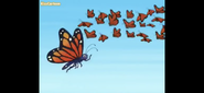 Baby Monarch sees a lot of “monarch” butterflies!