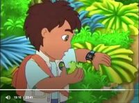 Noggin go diego go diego