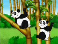 Ni hao!