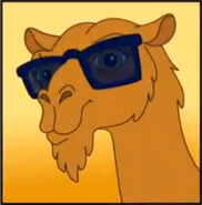 A camel wearing sunglasses