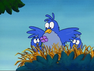 Baby Blue Bird is so happy to be back with her family!