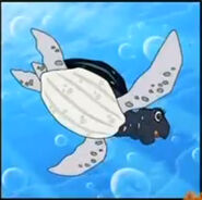 A black and white leatherback sea turtle