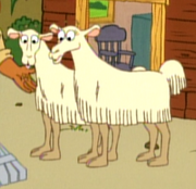 The Llamas