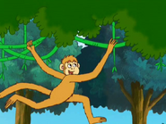 This is a spider monkey. He swings in the trees. (This will later appear of other spider monkeys who are being so silly and naughty as Diego's new archenemies.)