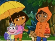 "And mambo through the rainforest!"