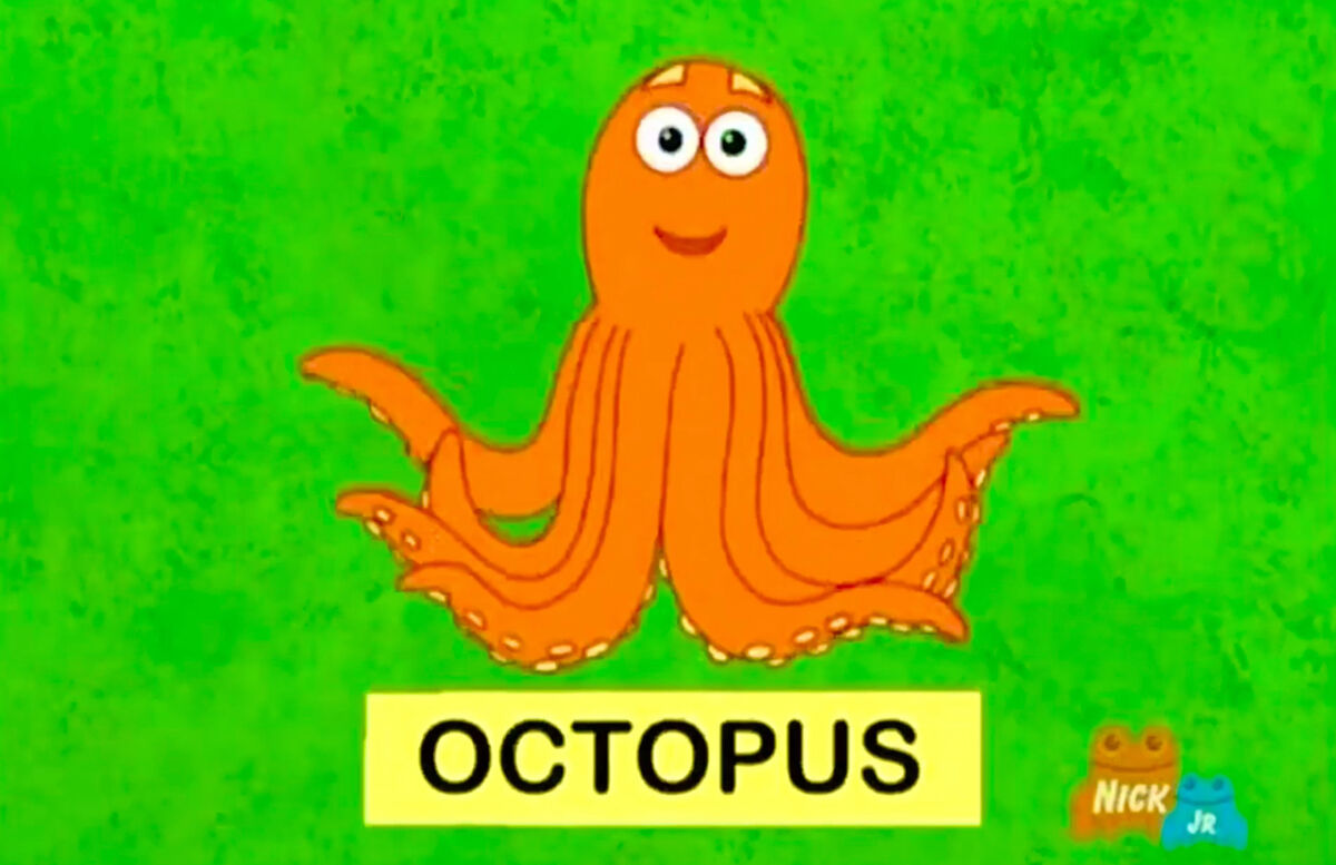 Octopus | Dora the Explorer Wiki | Fandom