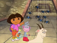 Look! It's the spiders!
