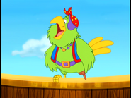 (SQUAWK!)