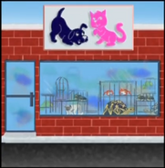 The pet store, the home where we brought the vicuña back to